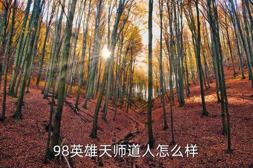 98英雄天师道人怎么样