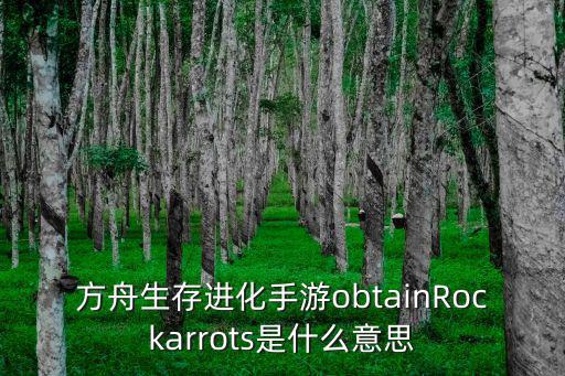 方舟生存进化手游obtainRockarrots是什么意思