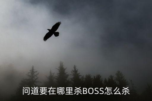 问道要在哪里杀BOSS怎么杀