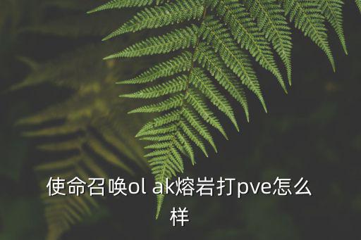 使命召唤ol ak熔岩打pve怎么样