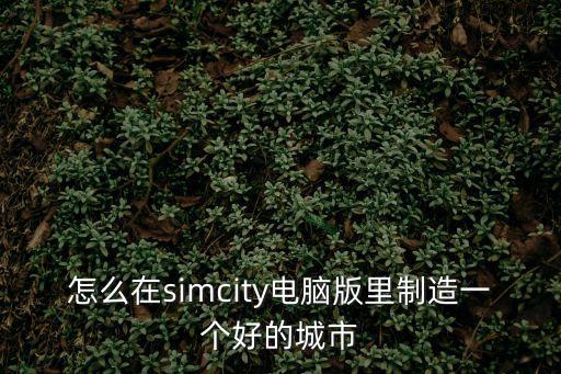 怎么在simcity电脑版里制造一个好的城市