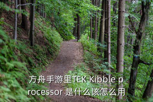 方舟手游里TEK Kibble processor 是什么该怎么用