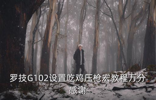 罗技G102设置吃鸡压枪宏教程万分感谢