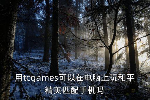 用tcgames可以在电脑上玩和平精英匹配手机吗