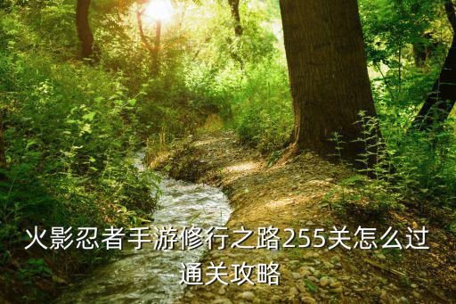 火影忍者手游修行之路255关怎么过 通关攻略