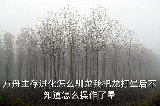 方舟生存进化怎么驯龙我把龙打晕后不知道怎么操作了晕