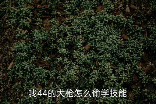 我44的大枪怎么偷学技能