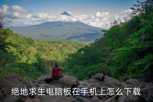 绝地求生电脑板在手机上怎么下载