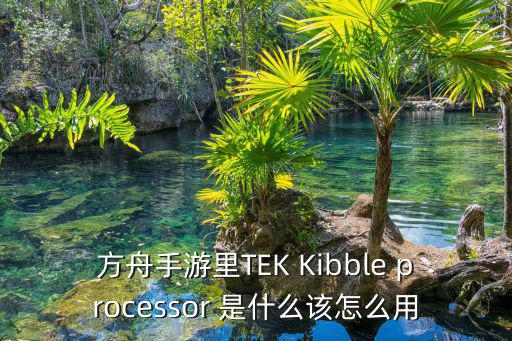 方舟手游里TEK Kibble processor 是什么该怎么用