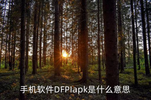 手机软件DFPIapk是什么意思