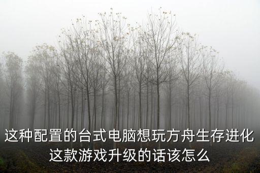 这种配置的台式电脑想玩方舟生存进化这款游戏升级的话该怎么