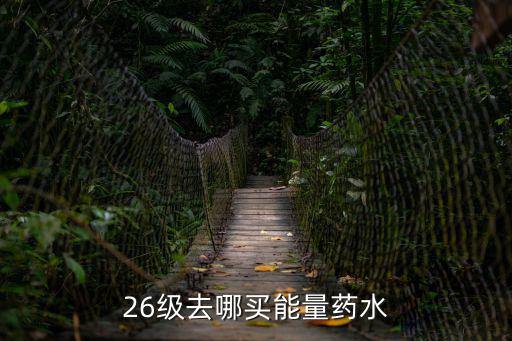 26级去哪买能量药水