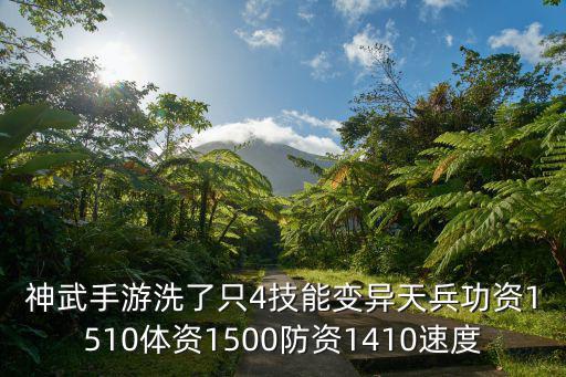 神武手游洗了只4技能变异天兵功资1510体资1500防资1410速度