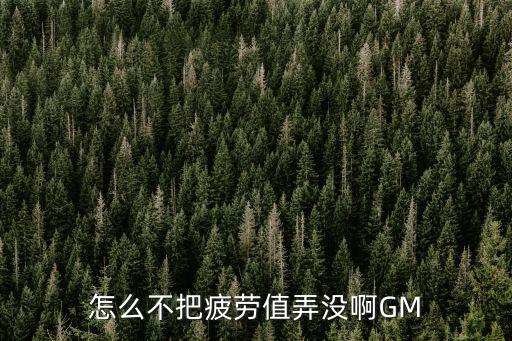 怎么不把疲劳值弄没啊GM