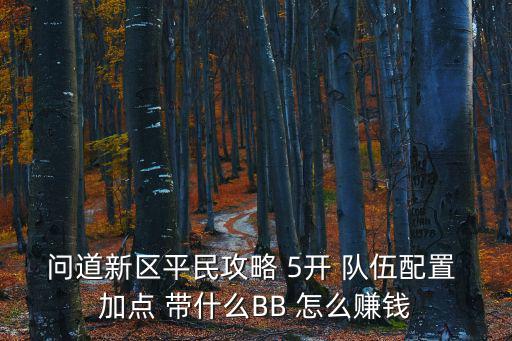 问道新区平民攻略 5开 队伍配置 加点 带什么BB 怎么赚钱