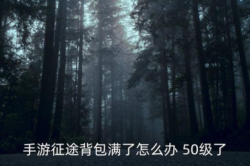 手游征途背包满了怎么办 50级了