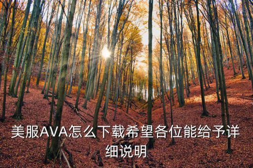 美服AVA怎么下载希望各位能给予详细说明