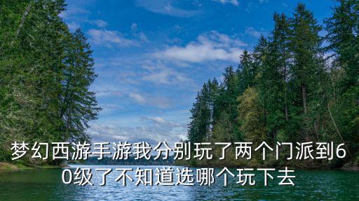 梦幻西游手游我分别玩了两个门派到60级了不知道选哪个玩下去