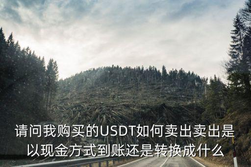 请问我购买的USDT如何卖出卖出是以现金方式到账还是转换成什么