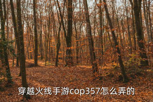 穿越火线手游cop357怎么弄的