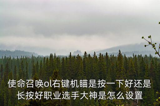 使命召唤ol右键机瞄是按一下好还是长按好职业选手大神是怎么设置