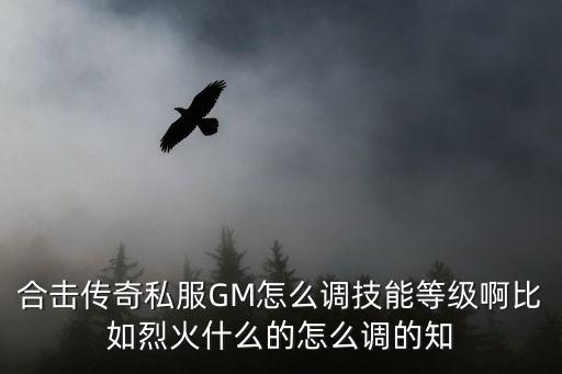 合击传奇私服GM怎么调技能等级啊比如烈火什么的怎么调的知