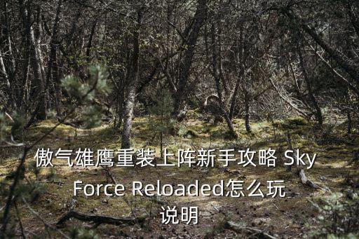 重装上阵手游怎么做好玩，傲气雄鹰重装上阵新手攻略 Sky Force Reloaded怎么玩说明