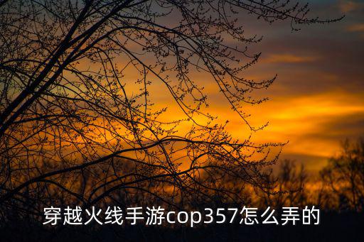 穿越火线手游cop357怎么弄的