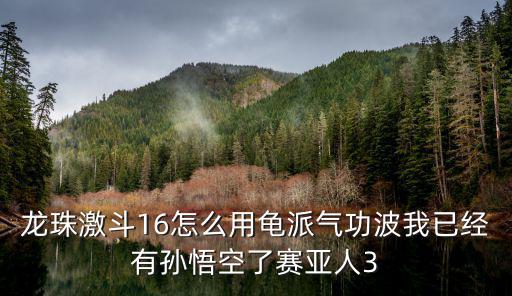 龙珠激斗16怎么用龟派气功波我已经有孙悟空了赛亚人3