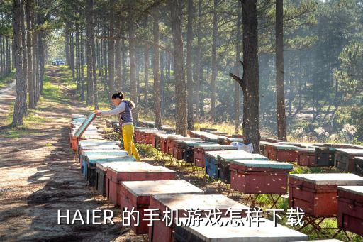 HAIER 的手机游戏怎样下载