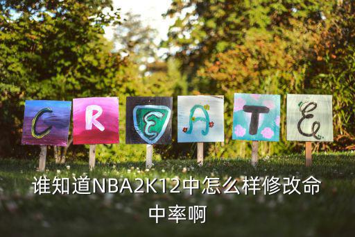 谁知道NBA2K12中怎么样修改命中率啊