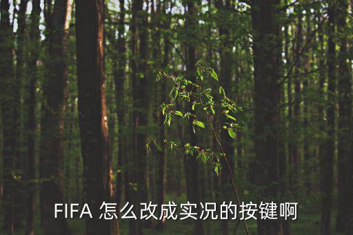 FIFA 怎么改成实况的按键啊