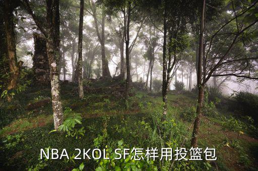 NBA 2KOL SF怎样用投篮包