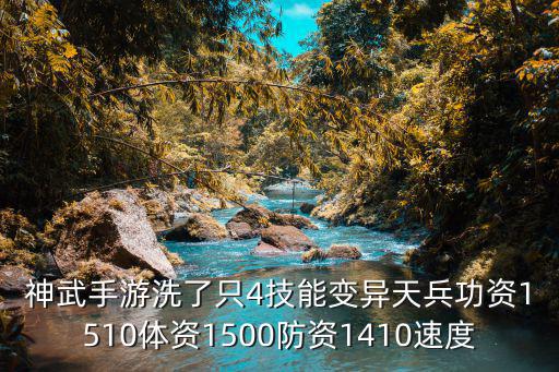 神武手游洗了只4技能变异天兵功资1510体资1500防资1410速度