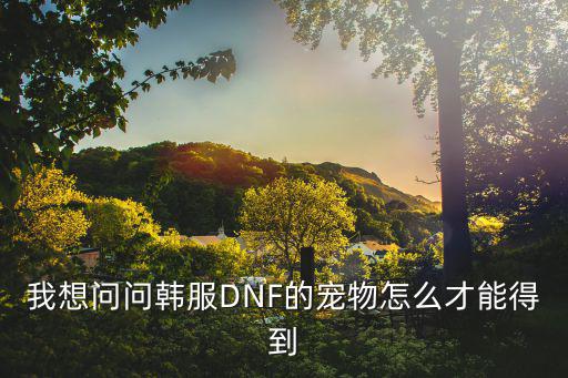 我想问问韩服DNF的宠物怎么才能得到