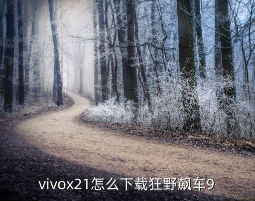 vivox21怎么下载狂野飙车9