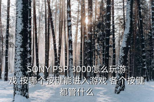 SONY PSP 3000怎么玩游戏 按哪个按键能进入游戏 各个按键都管什么