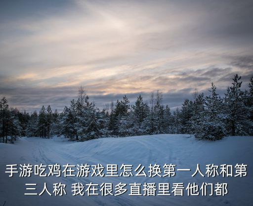 手游吃鸡在游戏里怎么换第一人称和第三人称 我在很多直播里看他们都