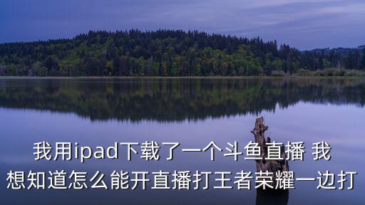 我用ipad下载了一个斗鱼直播 我想知道怎么能开直播打王者荣耀一边打