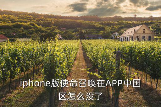 iphone版使命召唤在APP中国区怎么没了