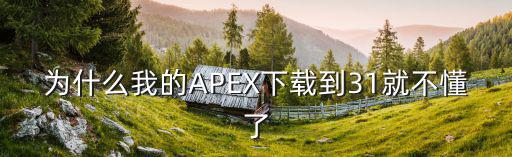 为什么我的APEX下载到31就不懂了