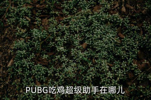 手游吃鸡助理怎么申请，PUBG吃鸡超级助手在哪儿