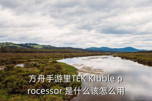 方舟手游里TEK Kibble processor 是什么该怎么用