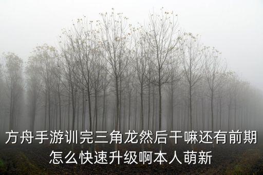 方舟手游训完三角龙然后干嘛还有前期怎么快速升级啊本人萌新