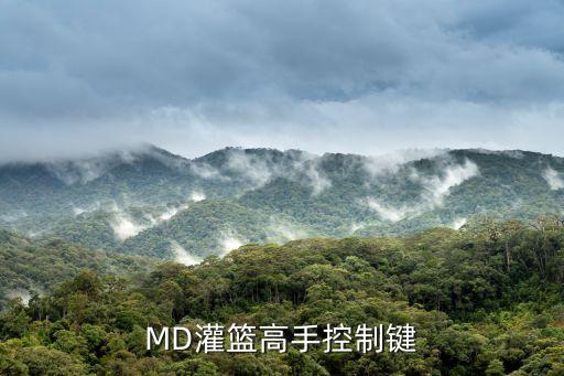 MD灌篮高手控制键