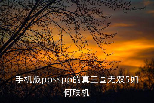 手机版ppsspp的真三国无双5如何联机