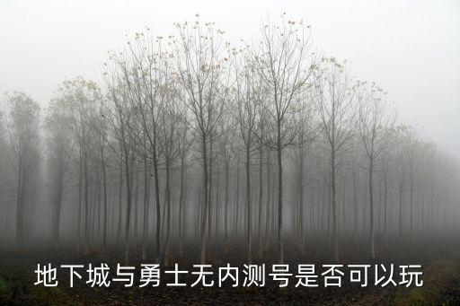 地下城与勇士无内测号是否可以玩