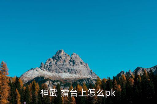 神武手游助手怎么擂台pk，神武怎么强PK