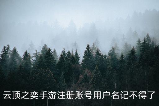 云顶之奕手游注册账号用户名记不得了