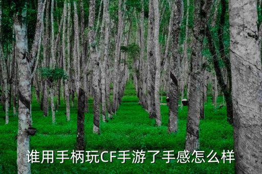 谁用手柄玩CF手游了手感怎么样